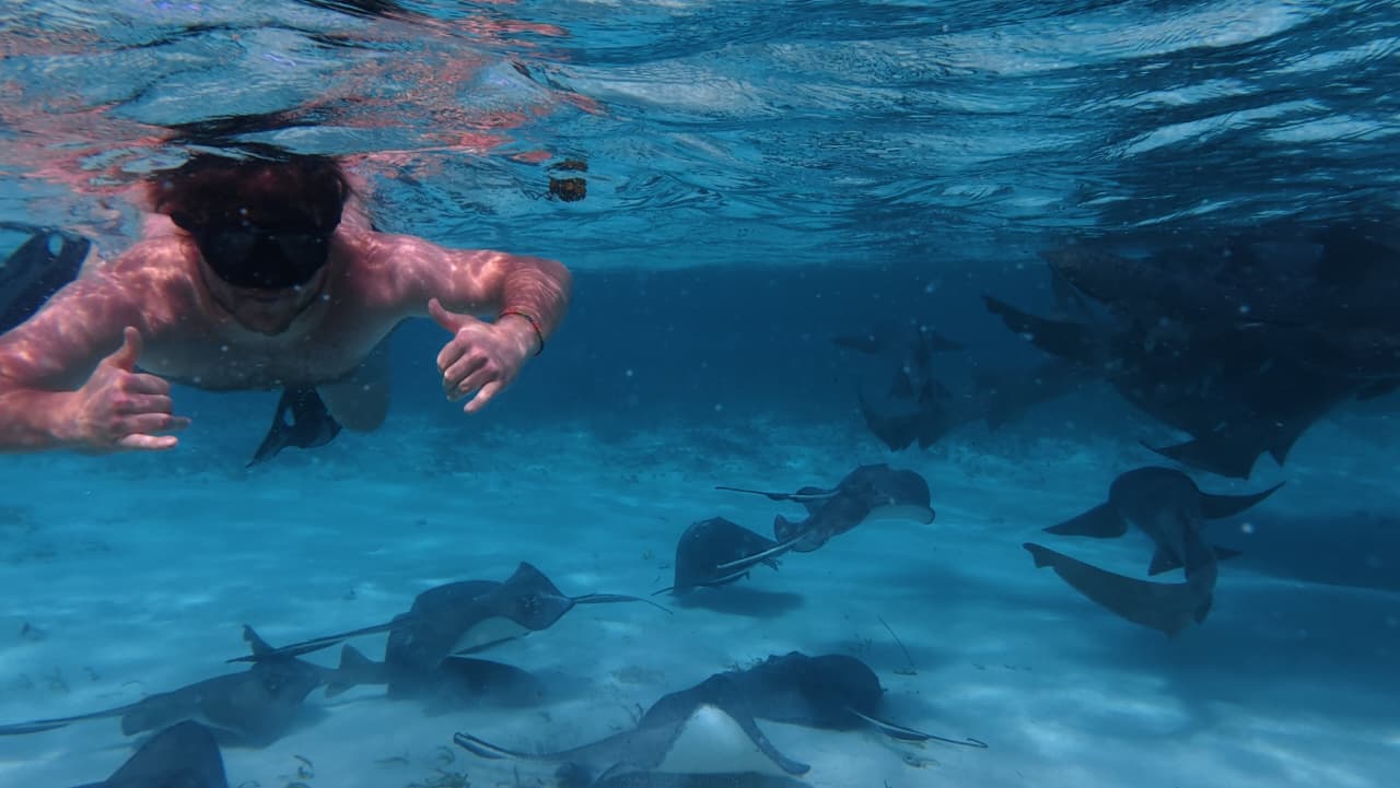 Snorkeler with stingrays at Mexico Rocks / Sting Ray Alley, Belize